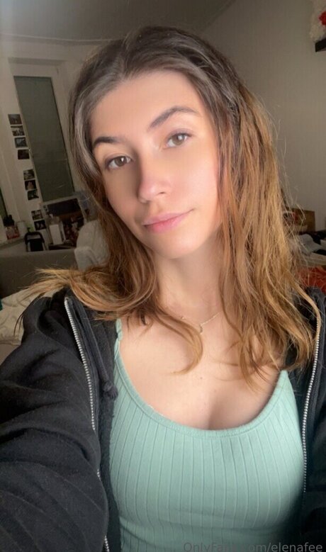 Elenafee best model img