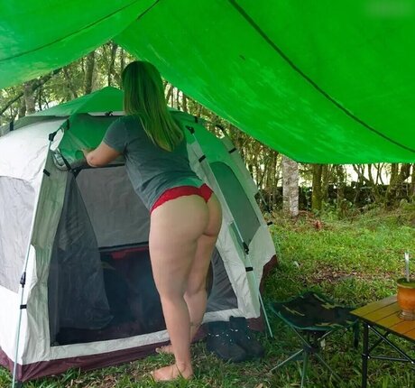 Brazilian Adventure free star galleries