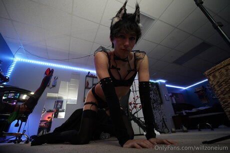 willzoneium high quality model archive