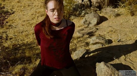 DomTheNation hd star photos