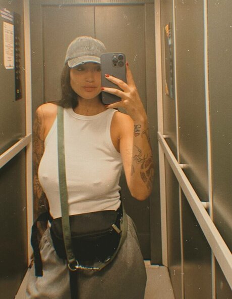 Pingvidii model high quality image