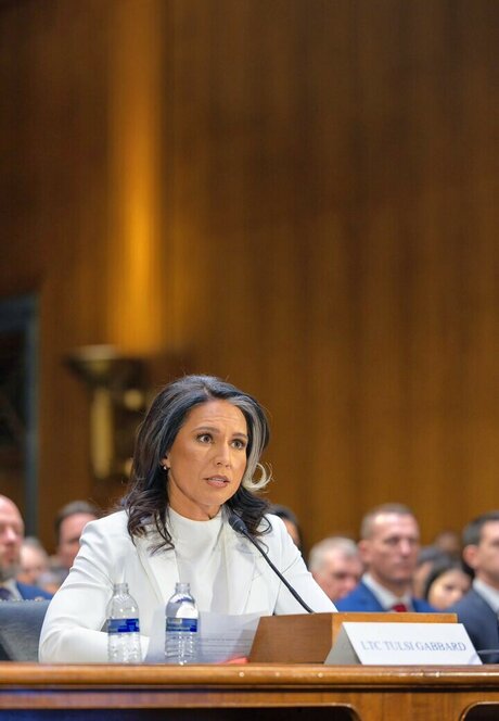 Tulsi Gabbard free model pictures