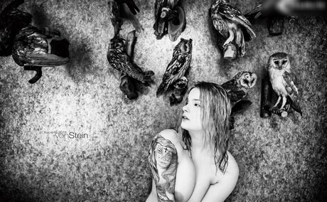 Chaos Isi model picture