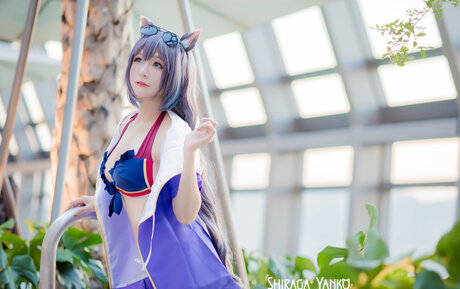 Shiraga Yanko model adult galleries