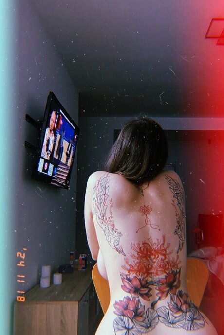 mini__pi g exclusive star gallery