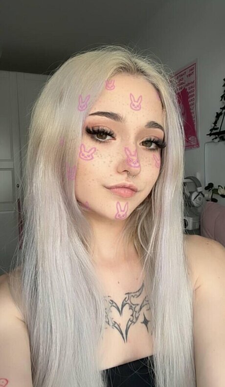 dorameaw perfect star img