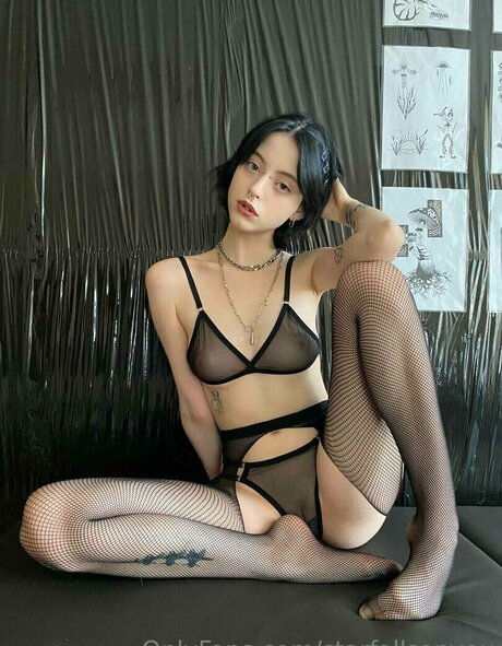 Millkiss star adult photo