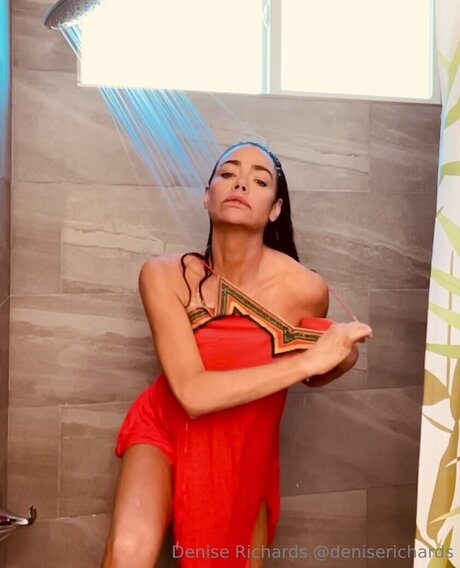 Denise Richards perfect actress img