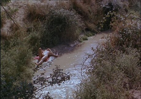 Ellen Barkin best pornstar img