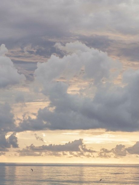 _Allima Amina porn actress images