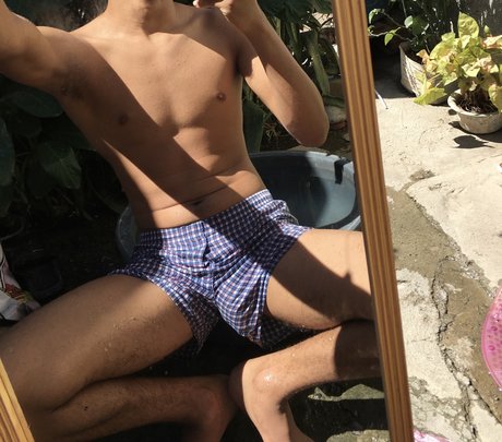 Ferna star perfect pic