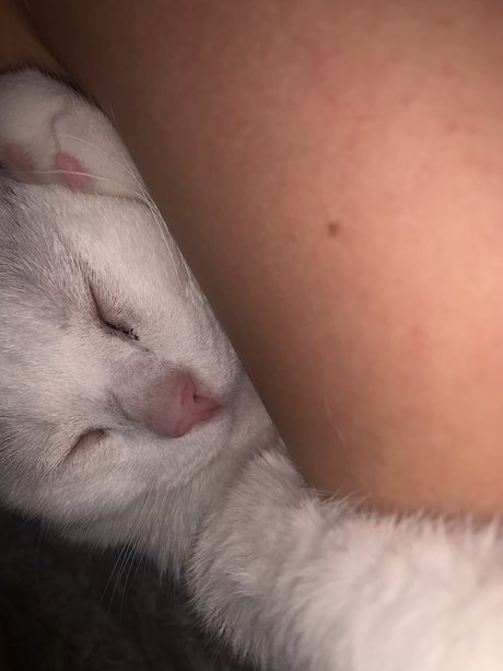 Gbby exclusive model galleries