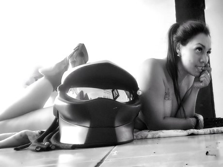 Lamarida art star pics