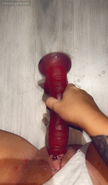 Fab Swingsrs erotic pornstar gallery