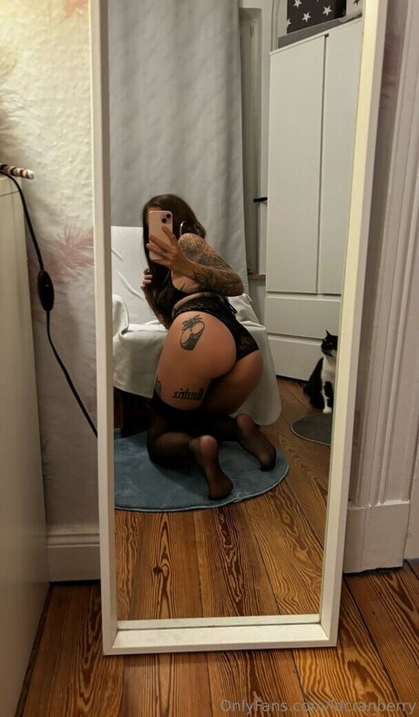 l d cranberry star nice archive