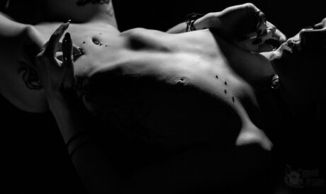 VipersDoll free model img