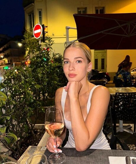 ol sushko model high quality img