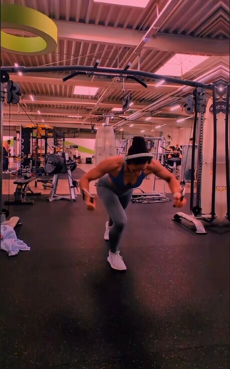 JuleTheFox star free photo