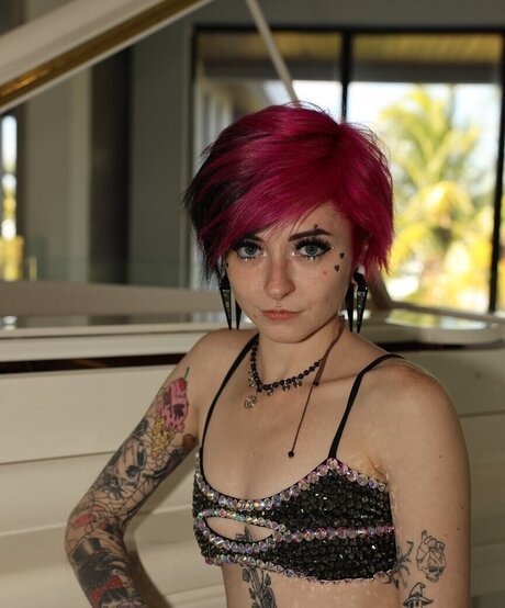 aswrinna star perfect pictures