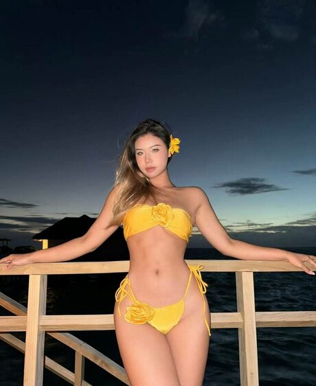 Cutelucia model art img