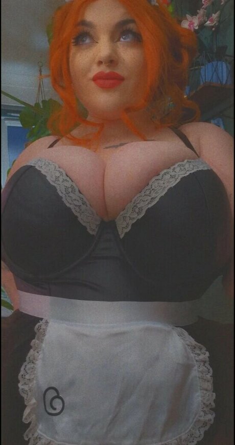 Plantlude star top photo