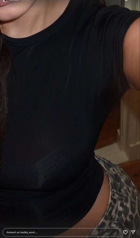 Hedda wmd star best archive