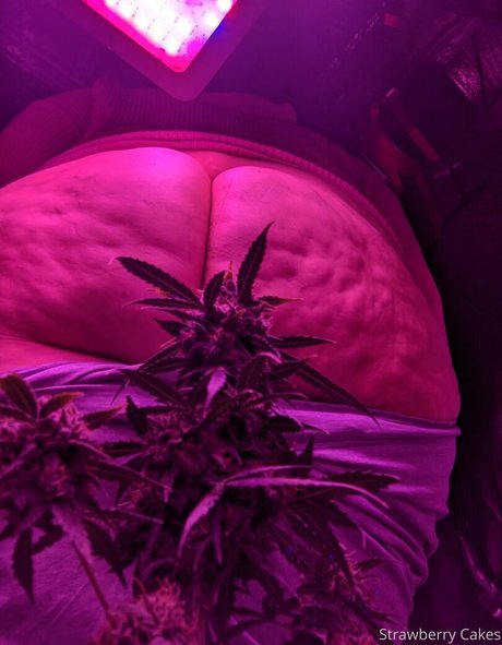 french anal onlyfans free sex photo