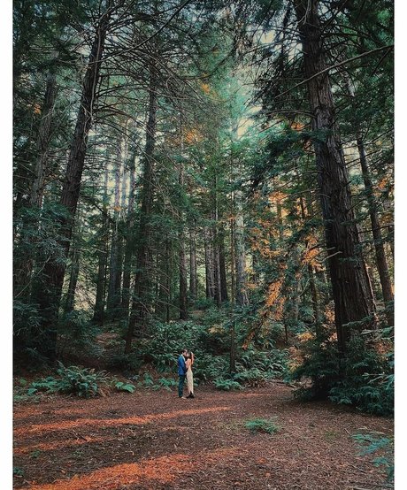 Meaghan Rath nudes actress pictures