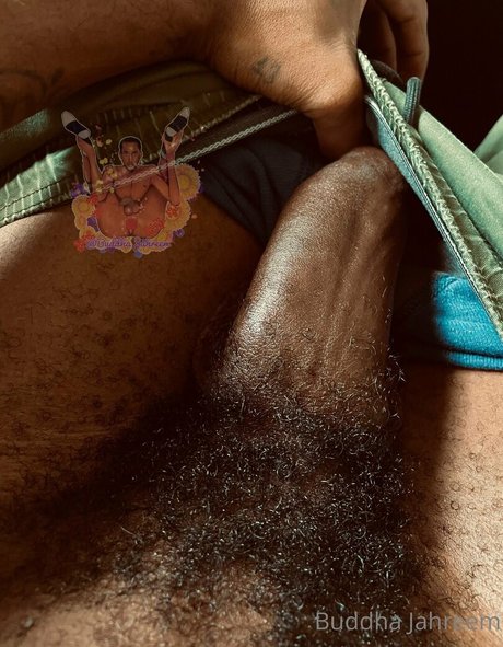 buddhajahreem xxx pornstar gallery