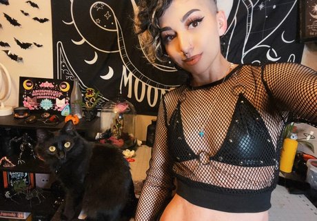 SailorTabbyCat free star galleries