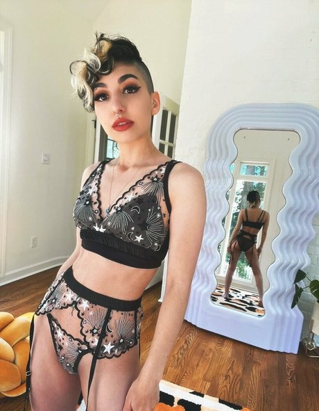 SailorTabbyCat top star gallery