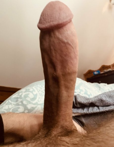 jmexhibitions pornstar sexy photo