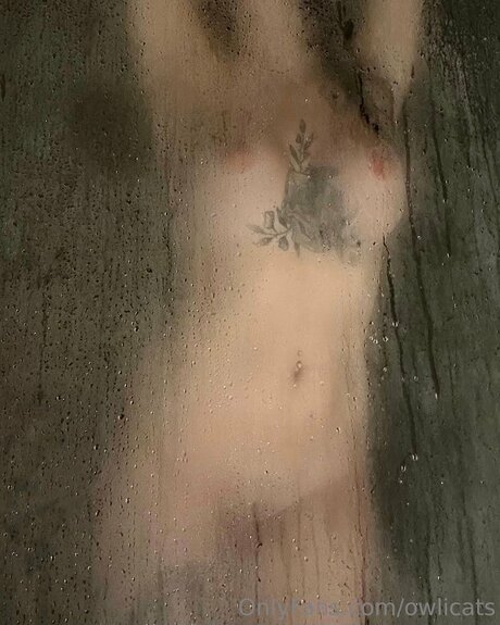 Owlicats naked model pic