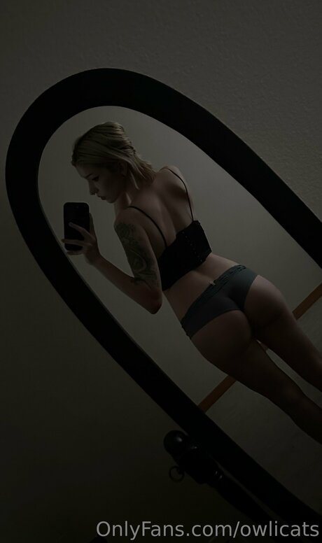 Owlicats star best images