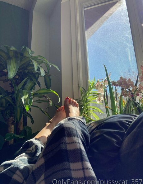 pussycat 357 pornstar perfect galleries