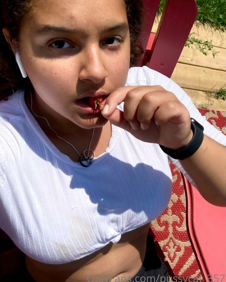 pussycat 357 model image