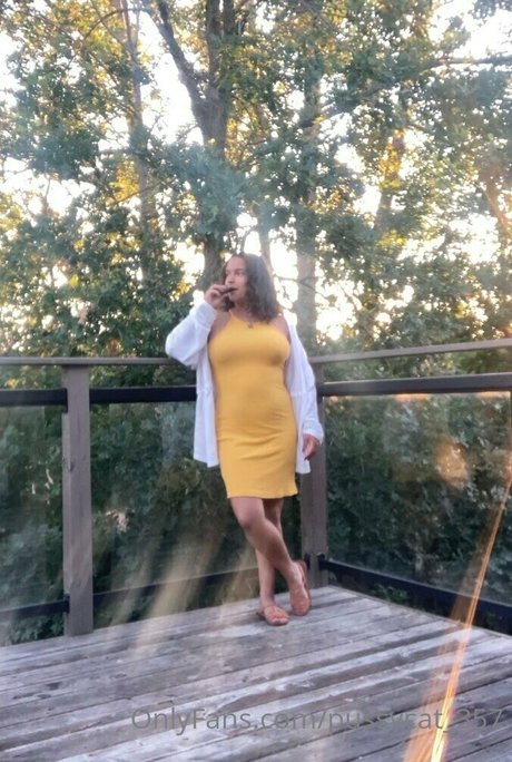 pussycat 357 pornstar nude img