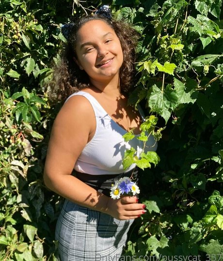 pussycat 357 star perfect pic