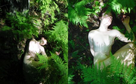 sexyshreksy sexy star picture