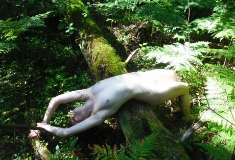 sexyshreksy perfect star pics