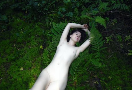 sexyshreksy pornstar naked images