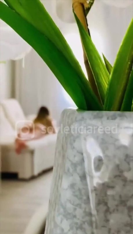 Leticia Reed xxx pornstar photos