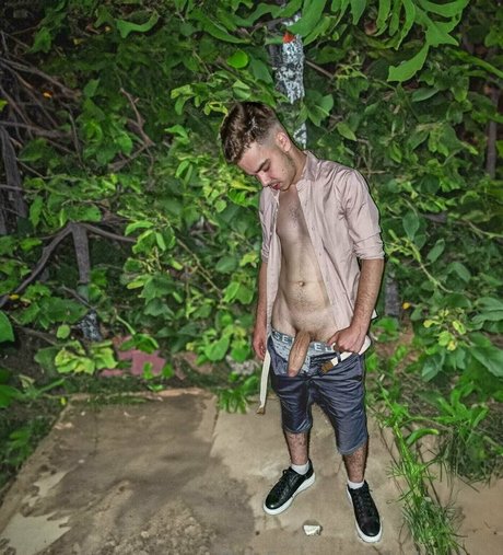 maxkingfree star art image