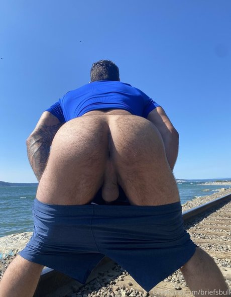 briefsbull beautiful star picture