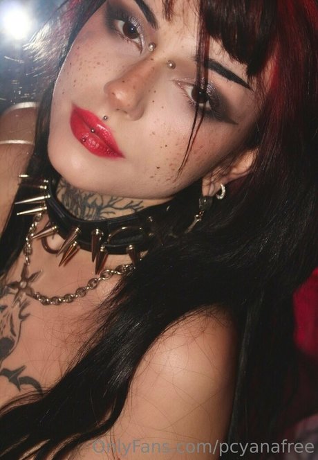 elfsandi star xxx photos