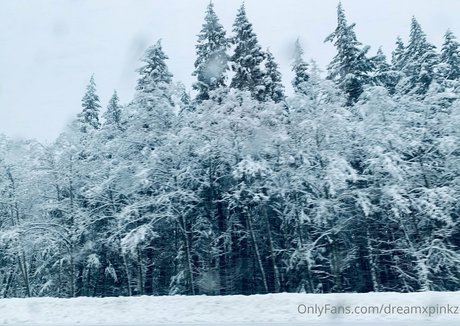 dreamxpinkz sex model archive