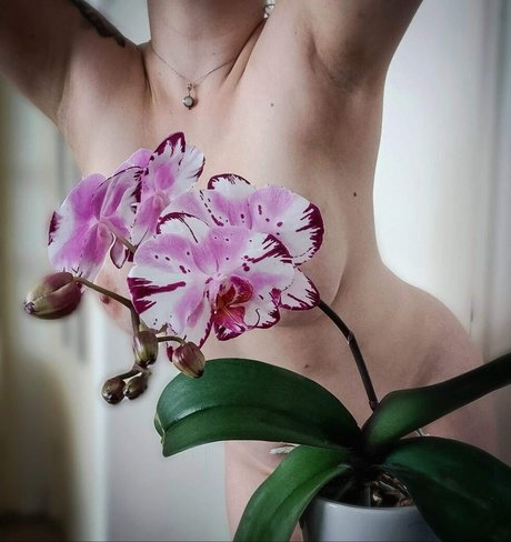 Rich Protection hot pornstar gallery