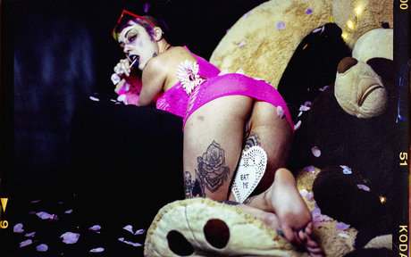 littlespittle perfect star img