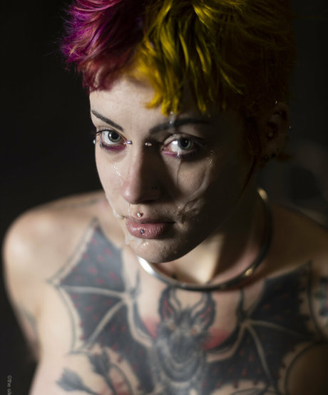 littlespittle star art picture