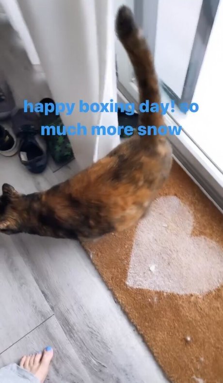 Holls8 pornstar sexy pictures